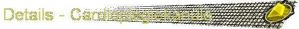 Details - Cardioplegiekan�le